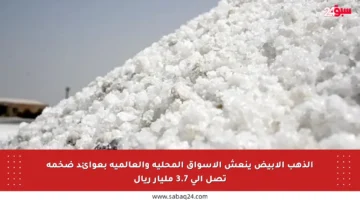 الذهب الأبيض ينعش الأسواق المحلية والعالمية بعوائد ضخمة تصل إلى 3.7 مليار ريال
